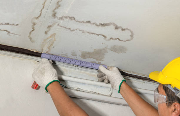 Reliable Basement Flood Cleanup contractor in Gig Harbor, WA by Aqua Guard Water Damage